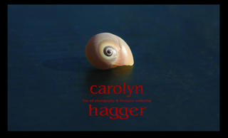 Carolyn Hagger - Photographer