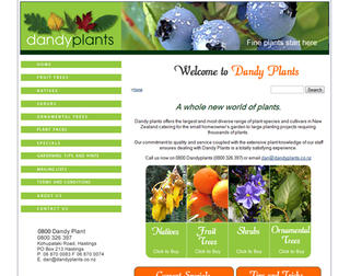 Dandy Plants